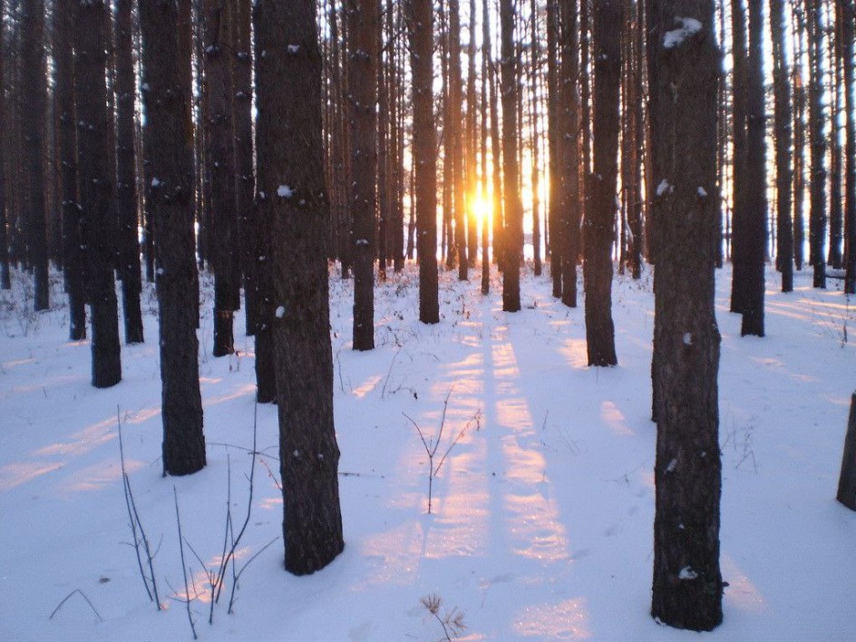 Зимнее утро