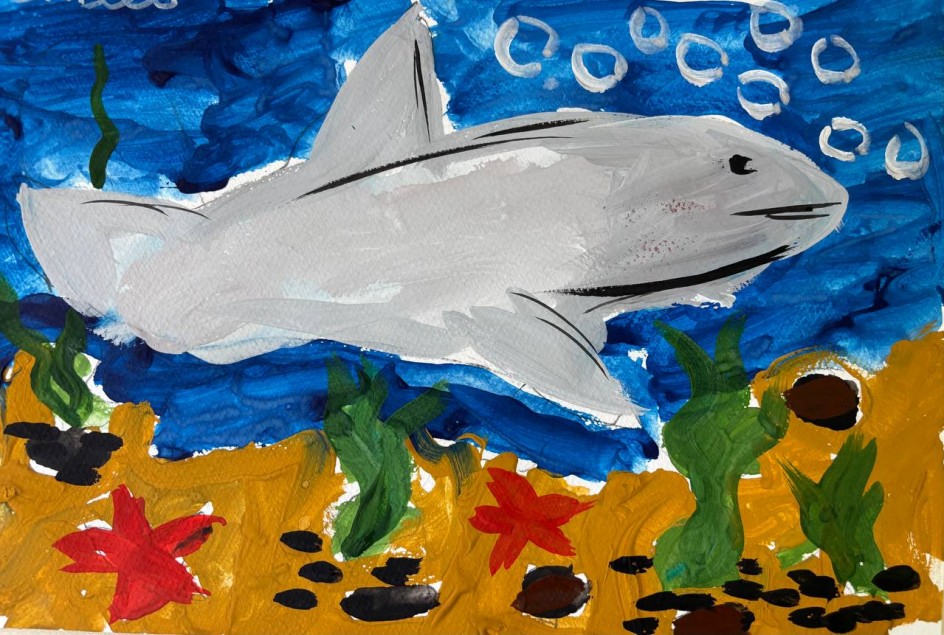 Белая акула