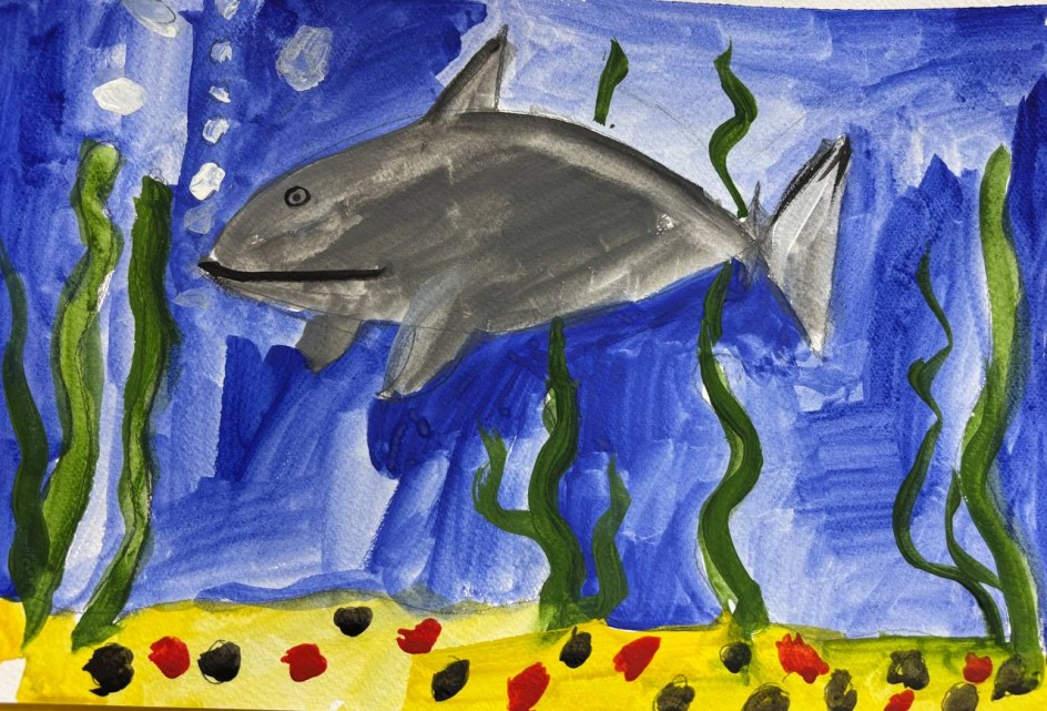 Акулье настроение