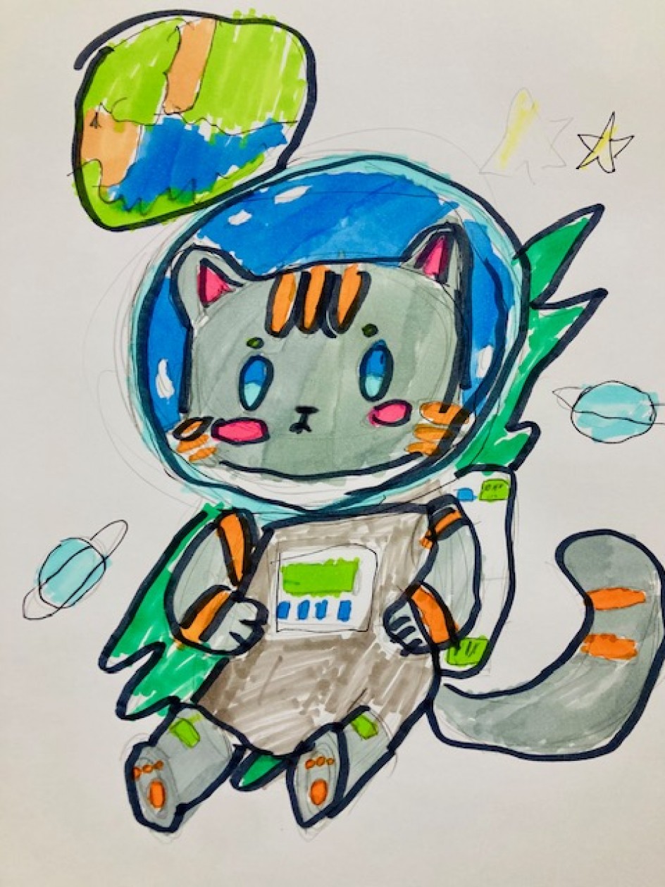 "Космический кот"