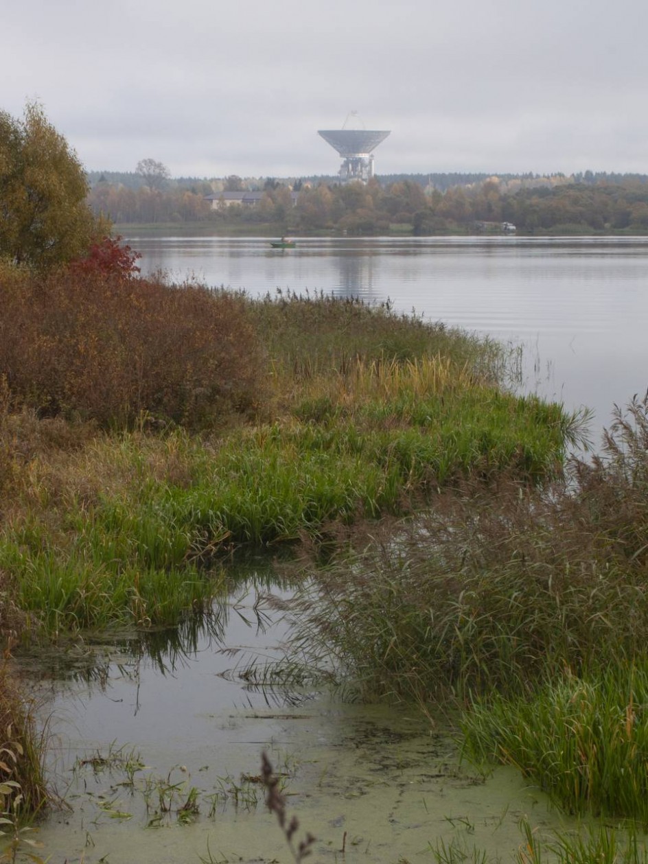 Калязинская радиоастрономическая обсерватория