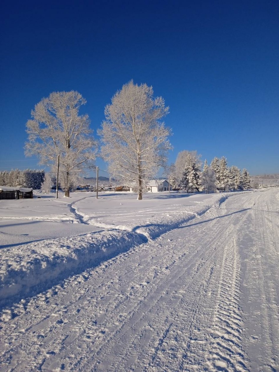 Волшебство зимы