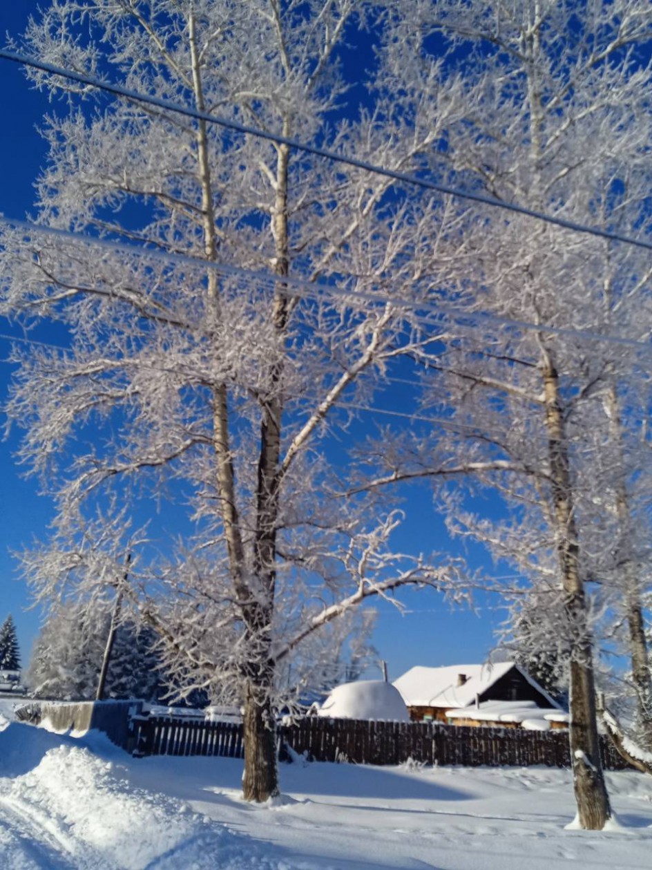 Сельский пейзаж