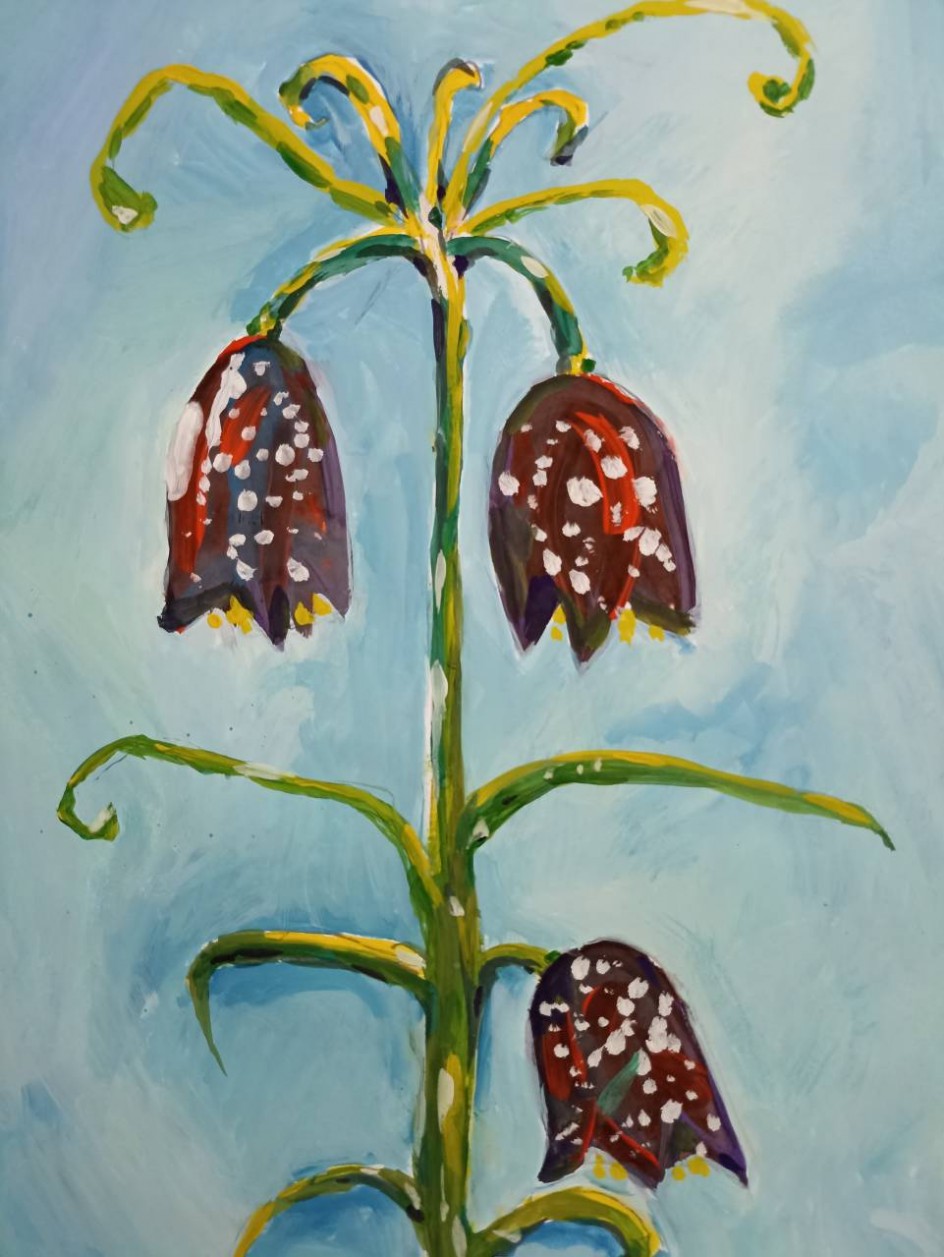 "Краснокнижный рябчик"