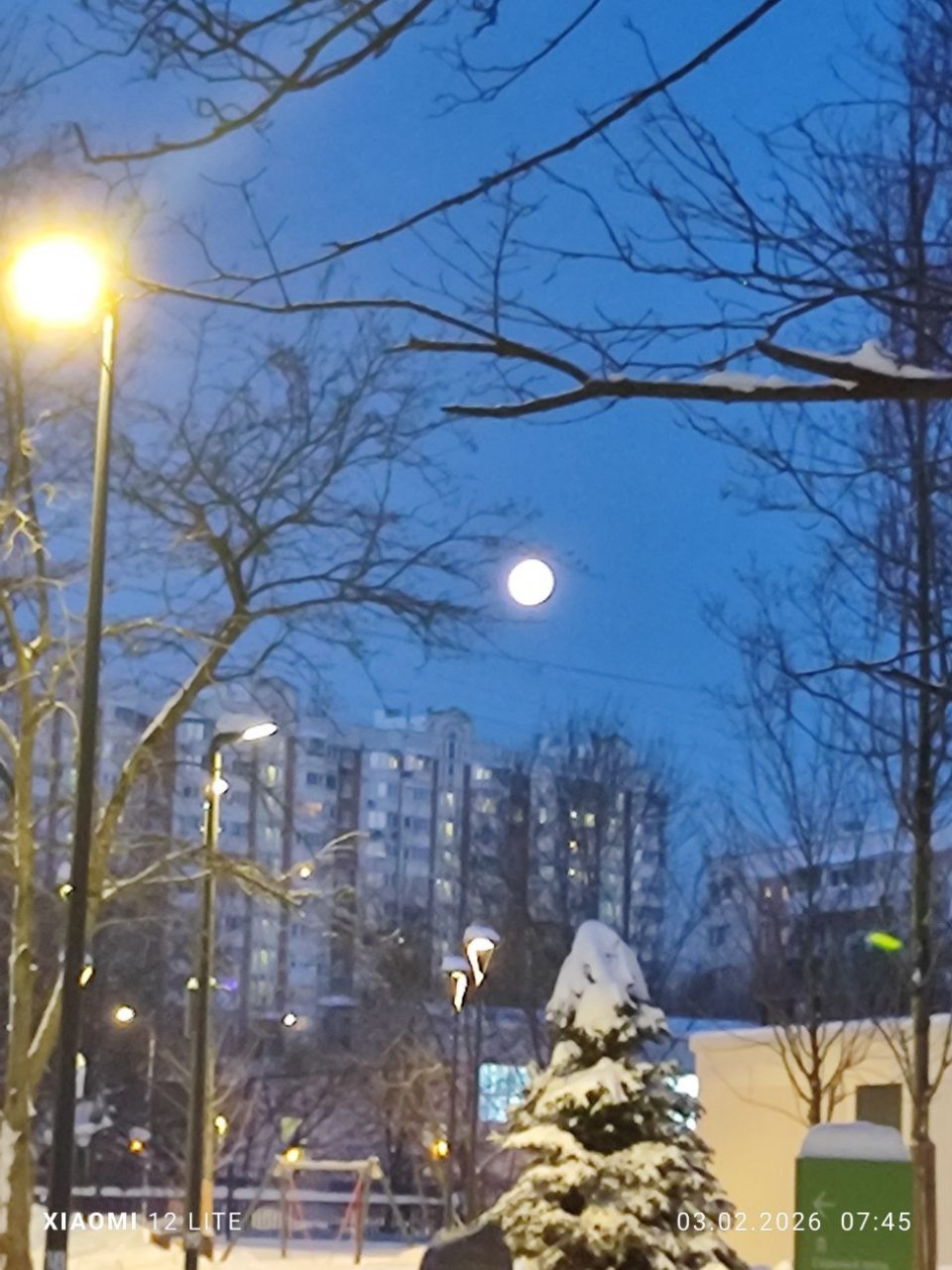 Зимняя луна