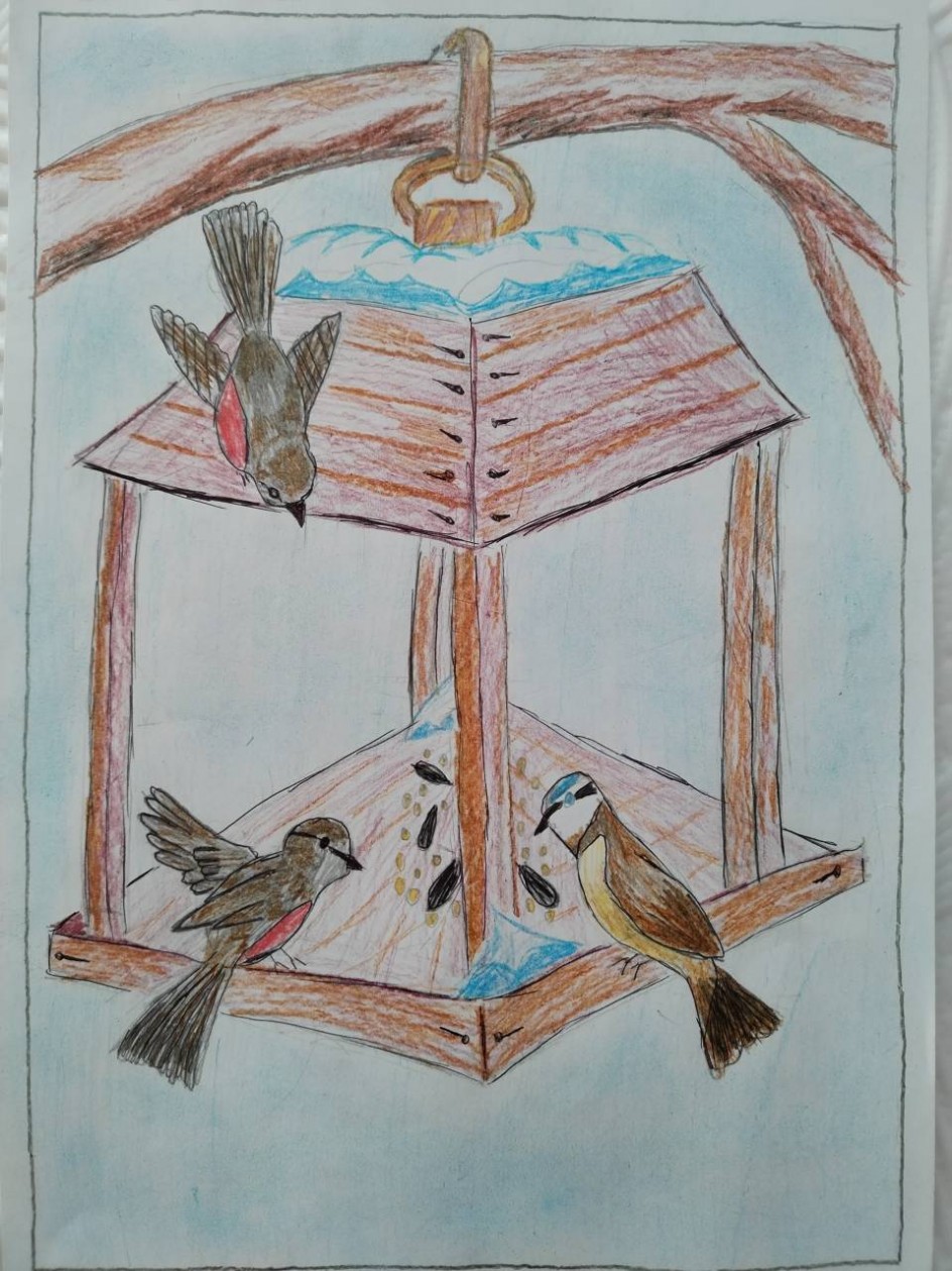 "Птичья столовая"