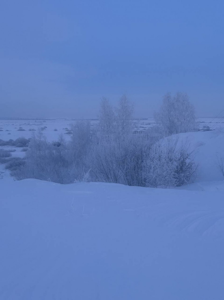 Зимняя краса