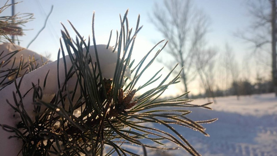 Зимняя шубка