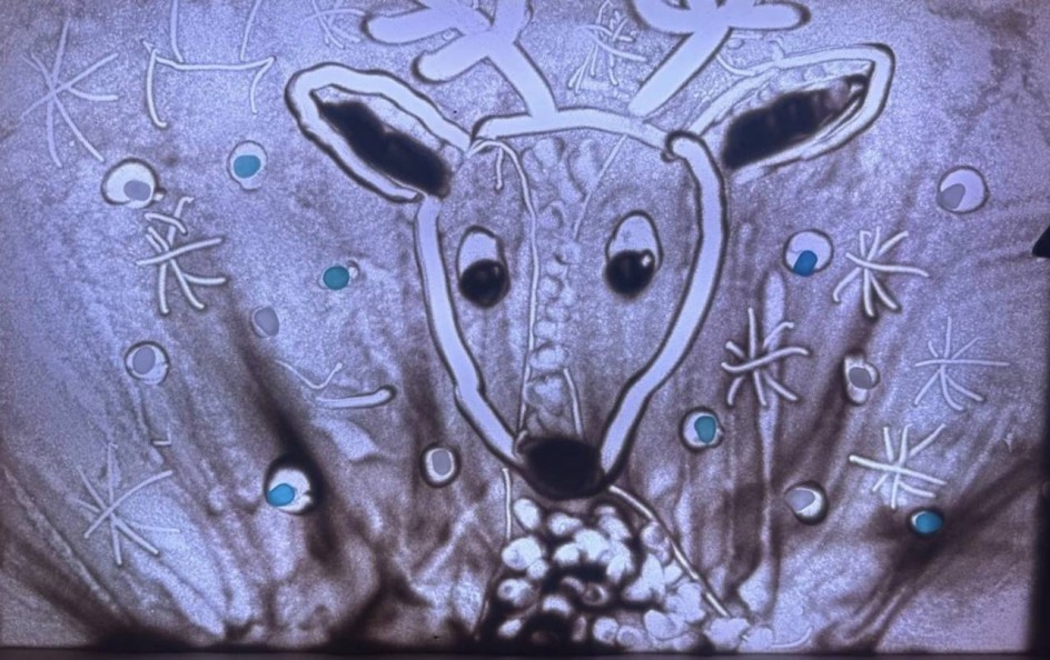 «Северный олень»