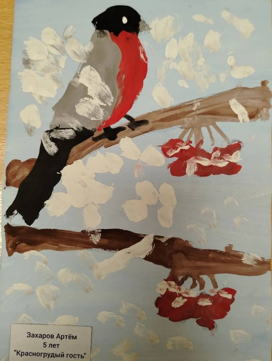 Красногрудый  гость