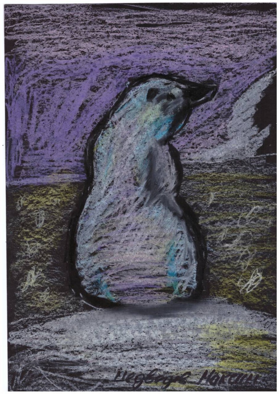 Белый медведь на острове Врангеля.