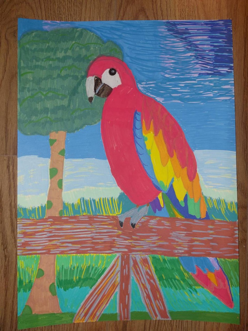 Попугай Ара