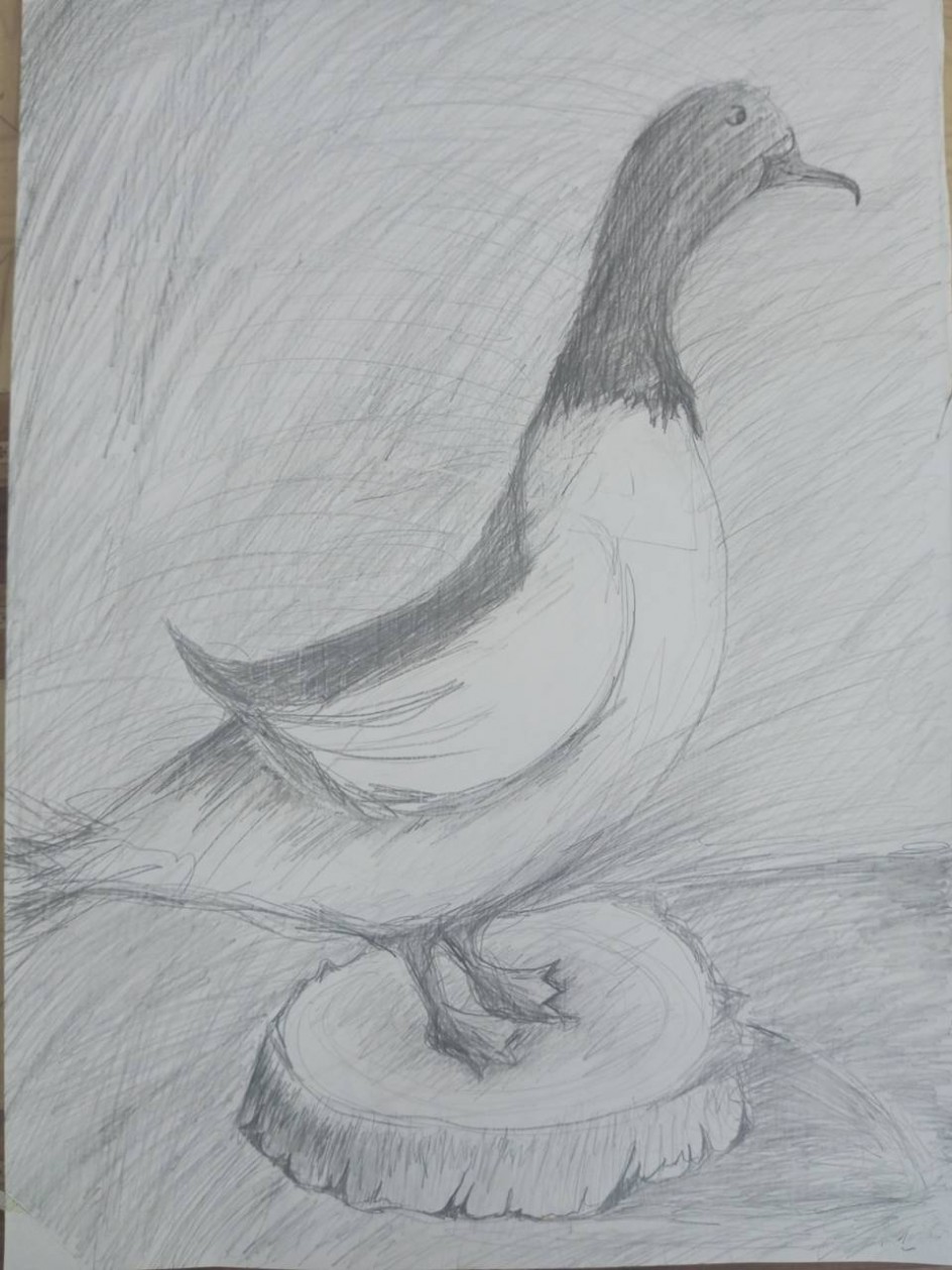 "Рисунок птицы"