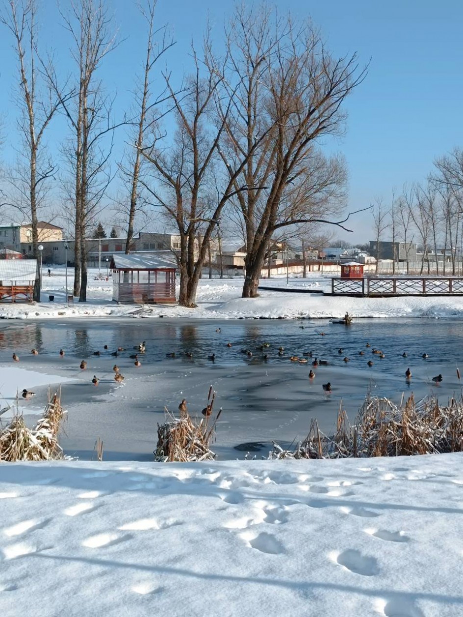 Уголок моего родного города зимой