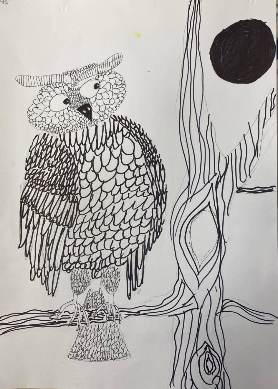 "Сова и луна"