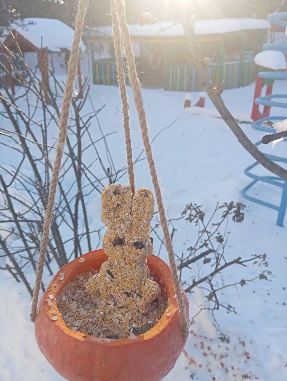 Эко кормушка