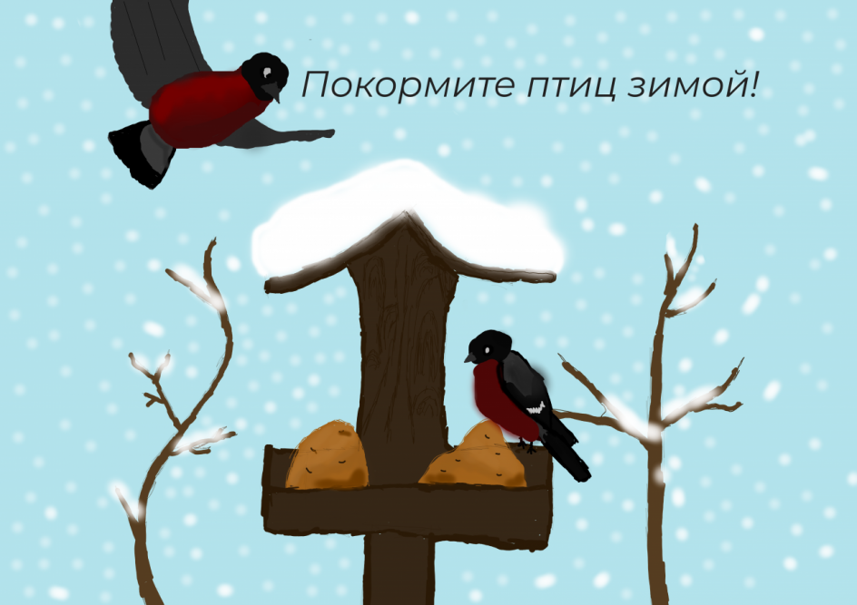 Покормите птиц зимой