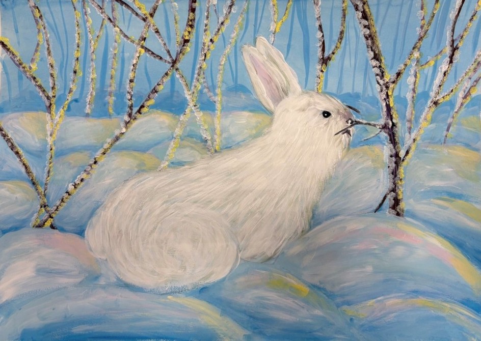 Белый заяц