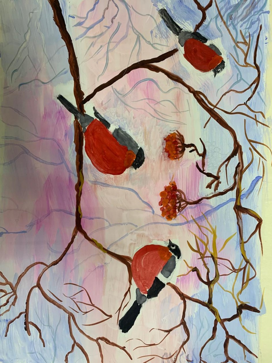 Красота зимних птиц