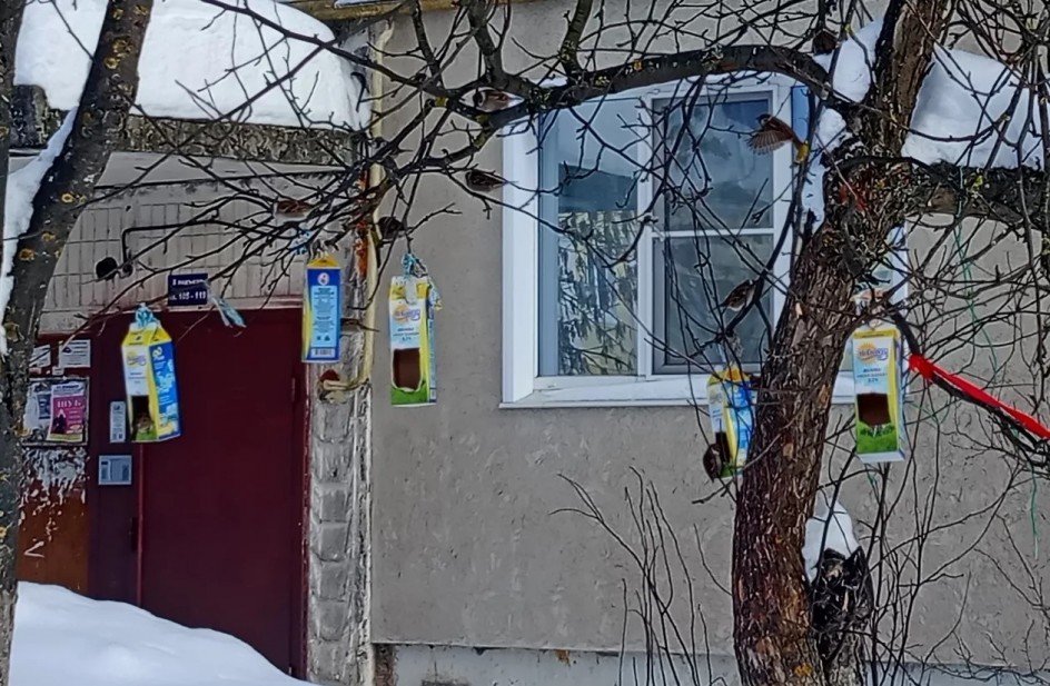 "Сытый дворик"