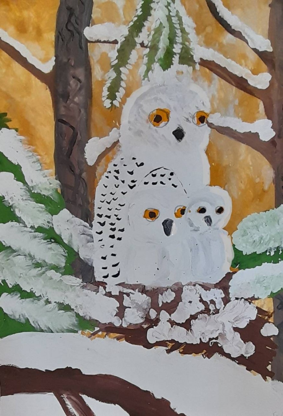 Совиная семья