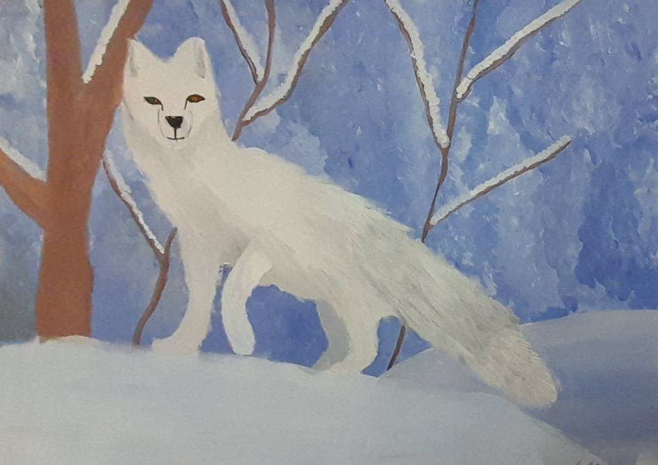 Песец - северный зверек