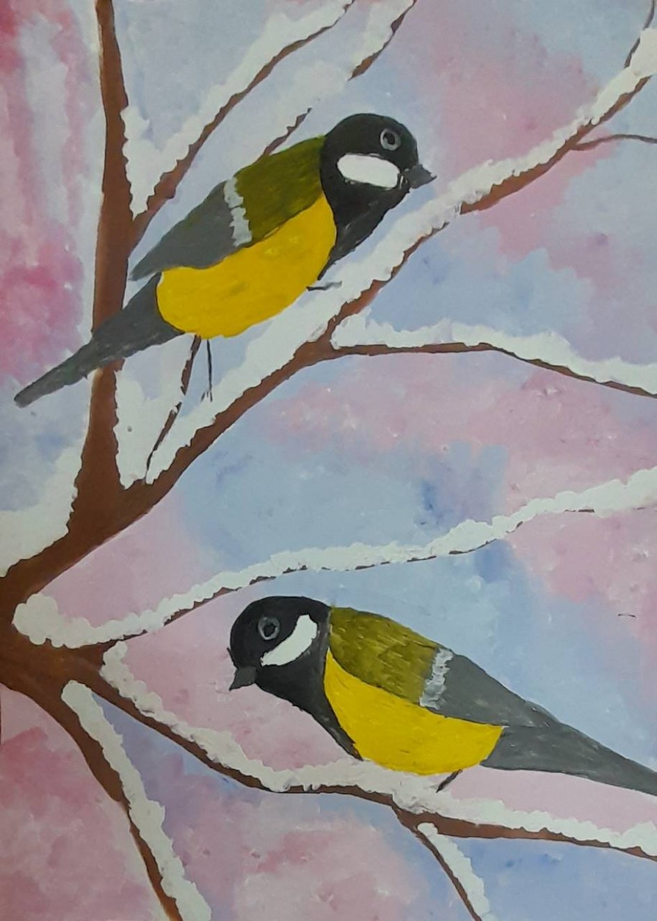 Шустрые синички, птички-невелички