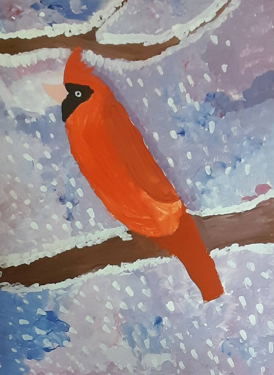 Птиц в подобном одеяньи в целом мире больше нет