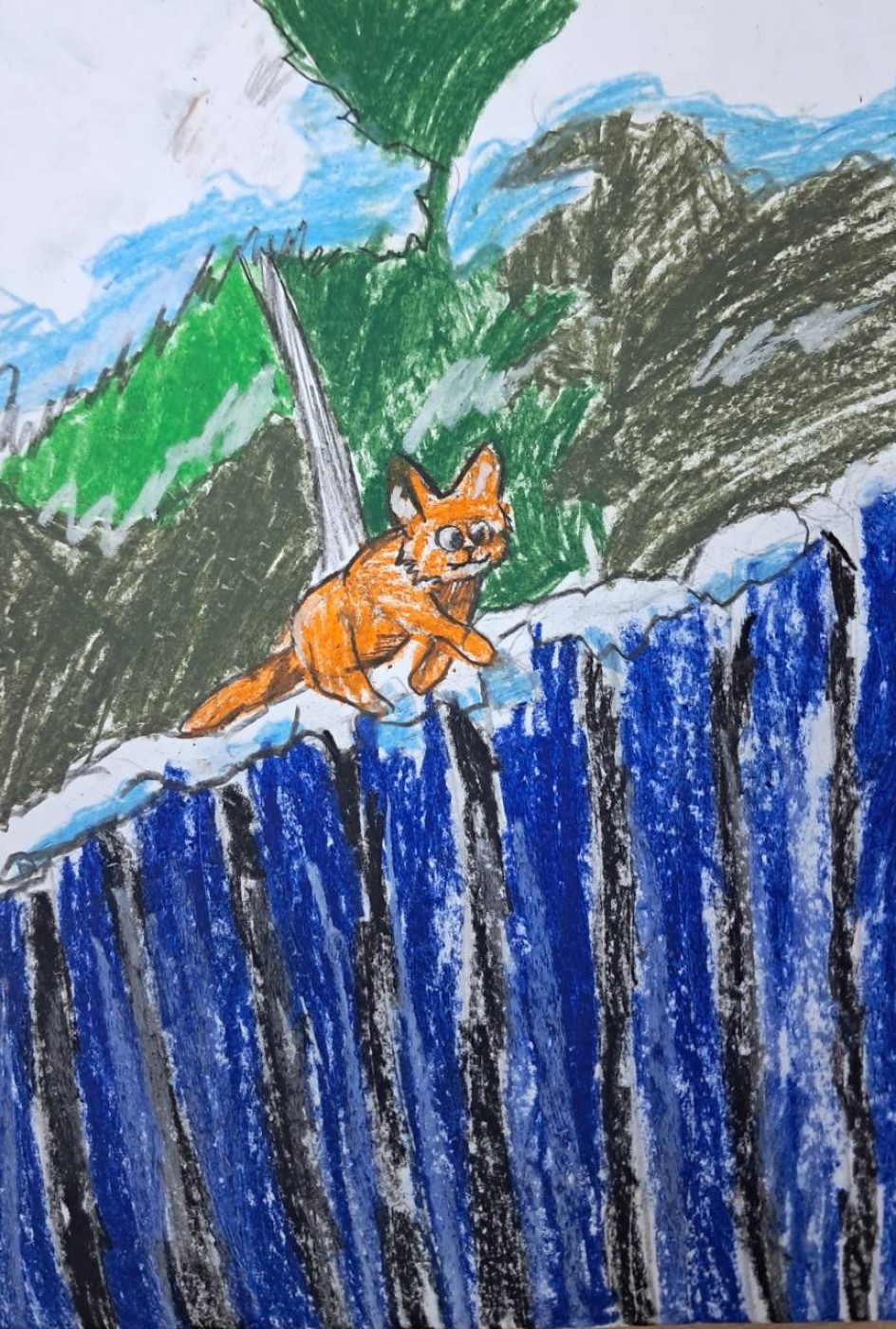 Рыжий котик на заборе