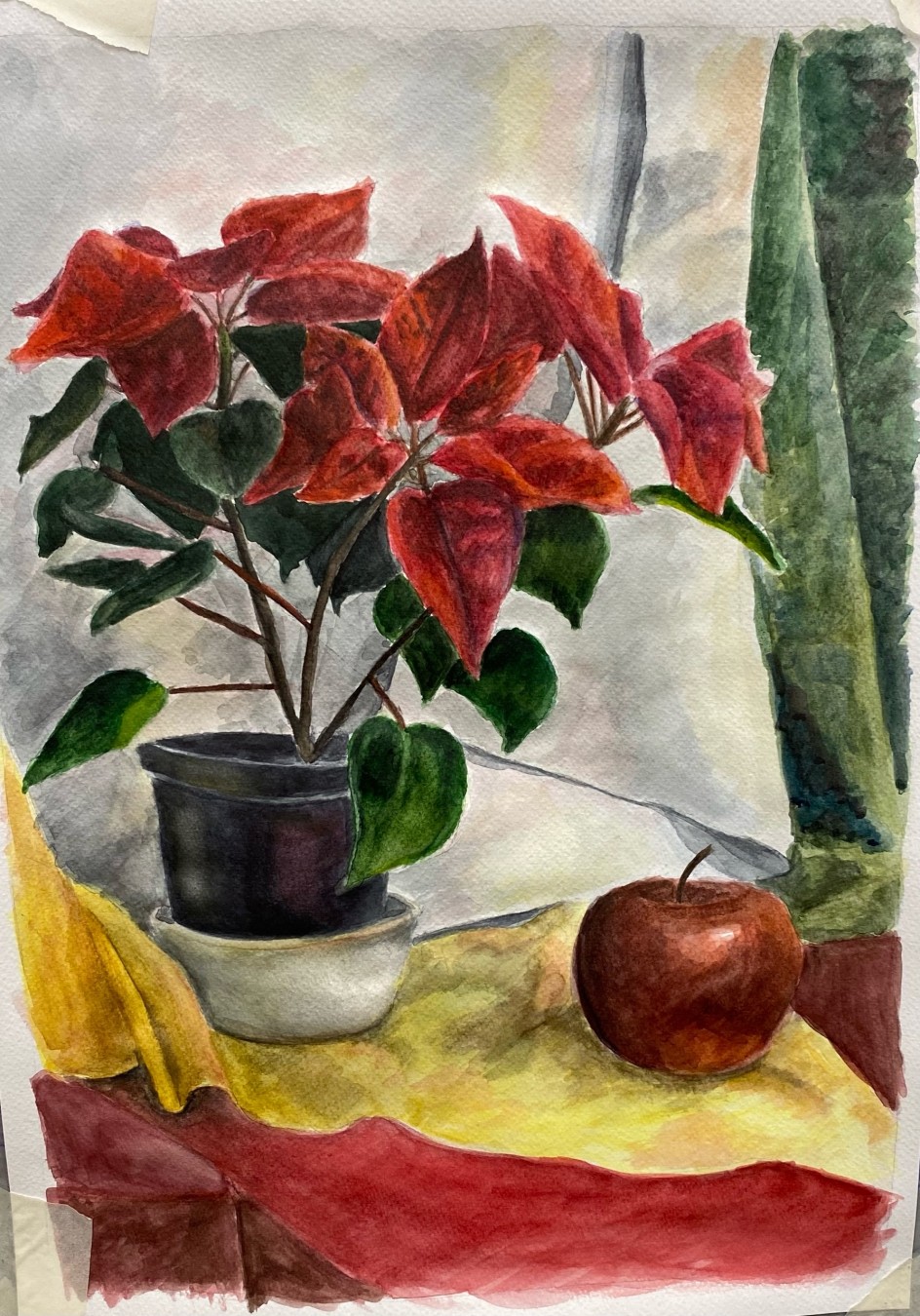 Натюрморт с физалисом