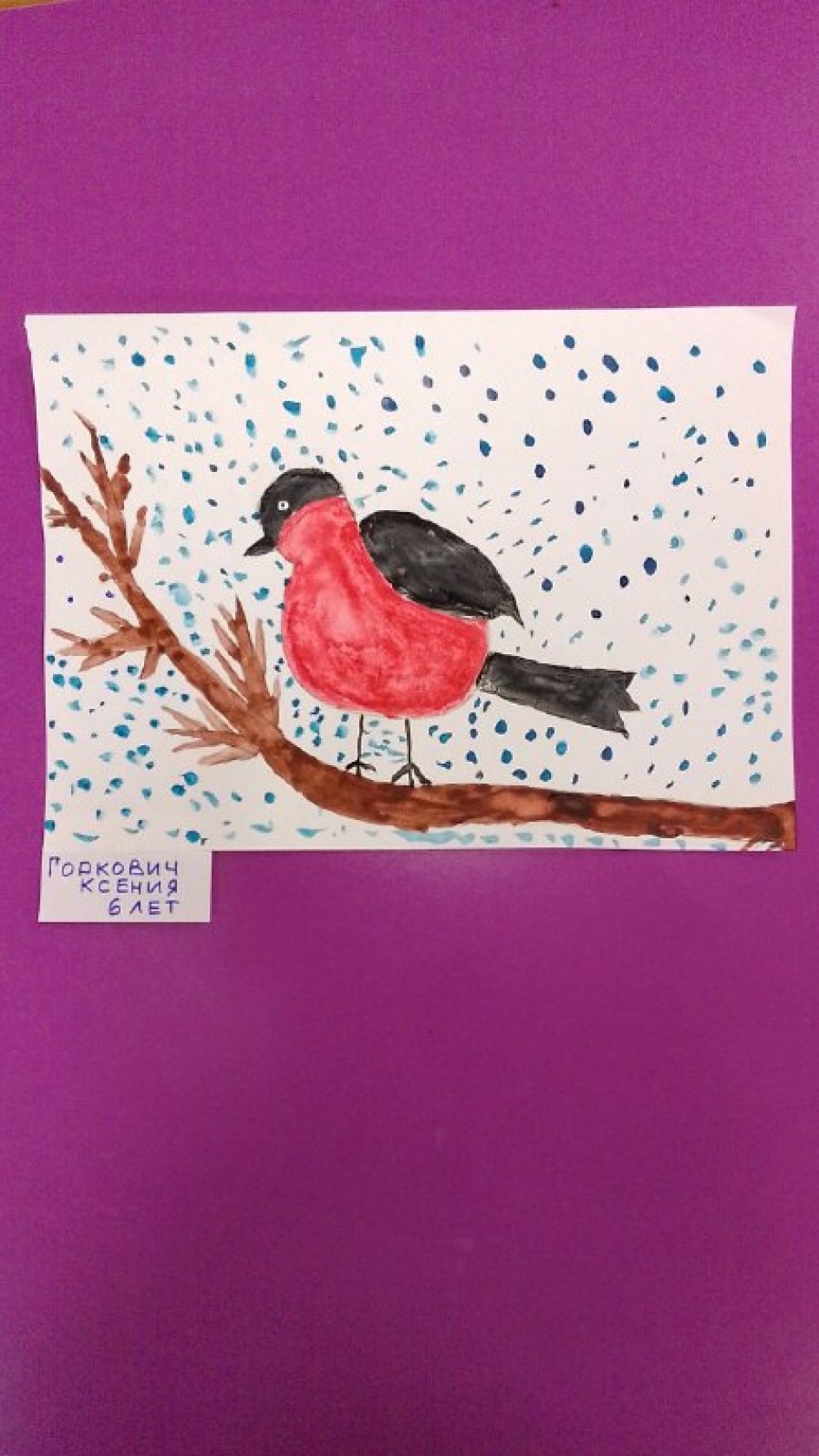 Снегирь зимой