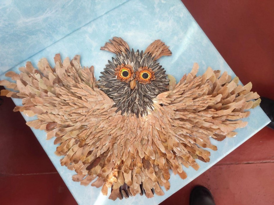 Мудрая сова