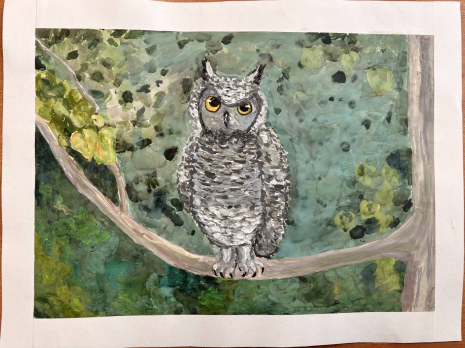 "Птица ночи"