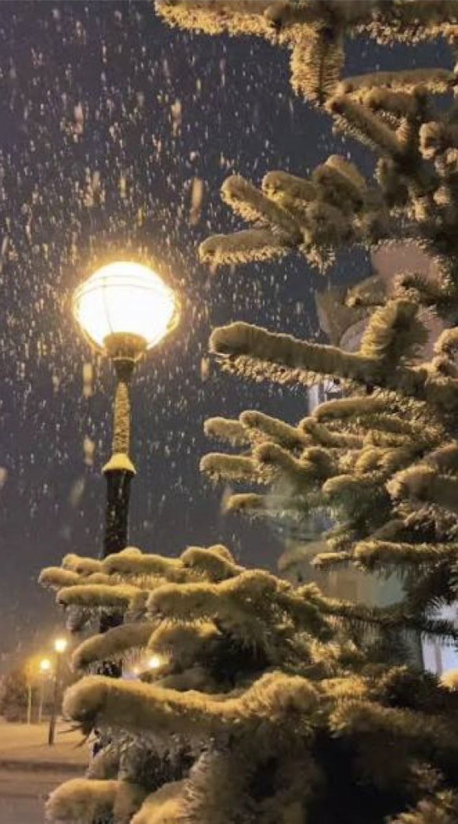 В объятиях тёплого света