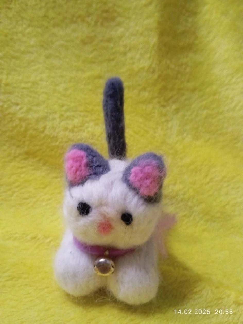 Котик из шерсти