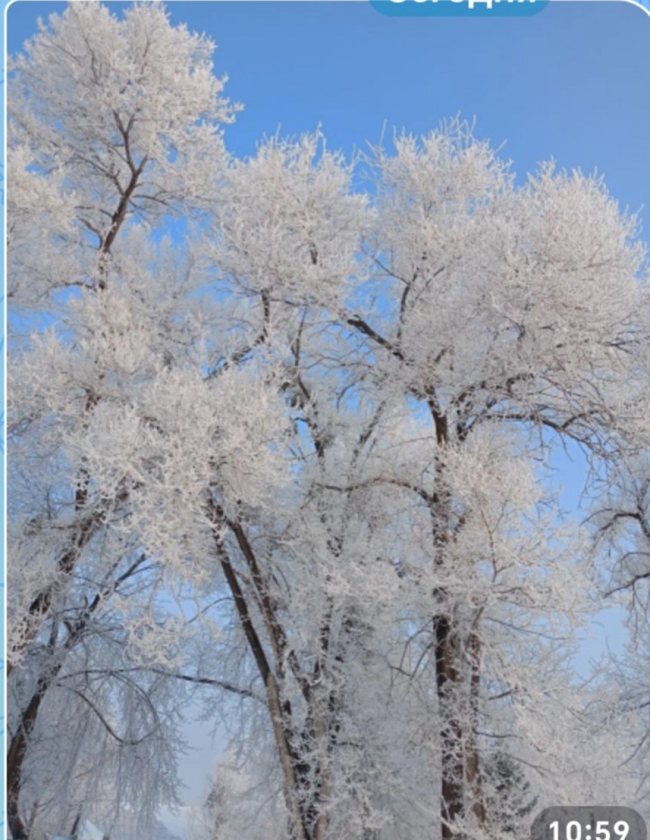 Волшебные узоры зимы