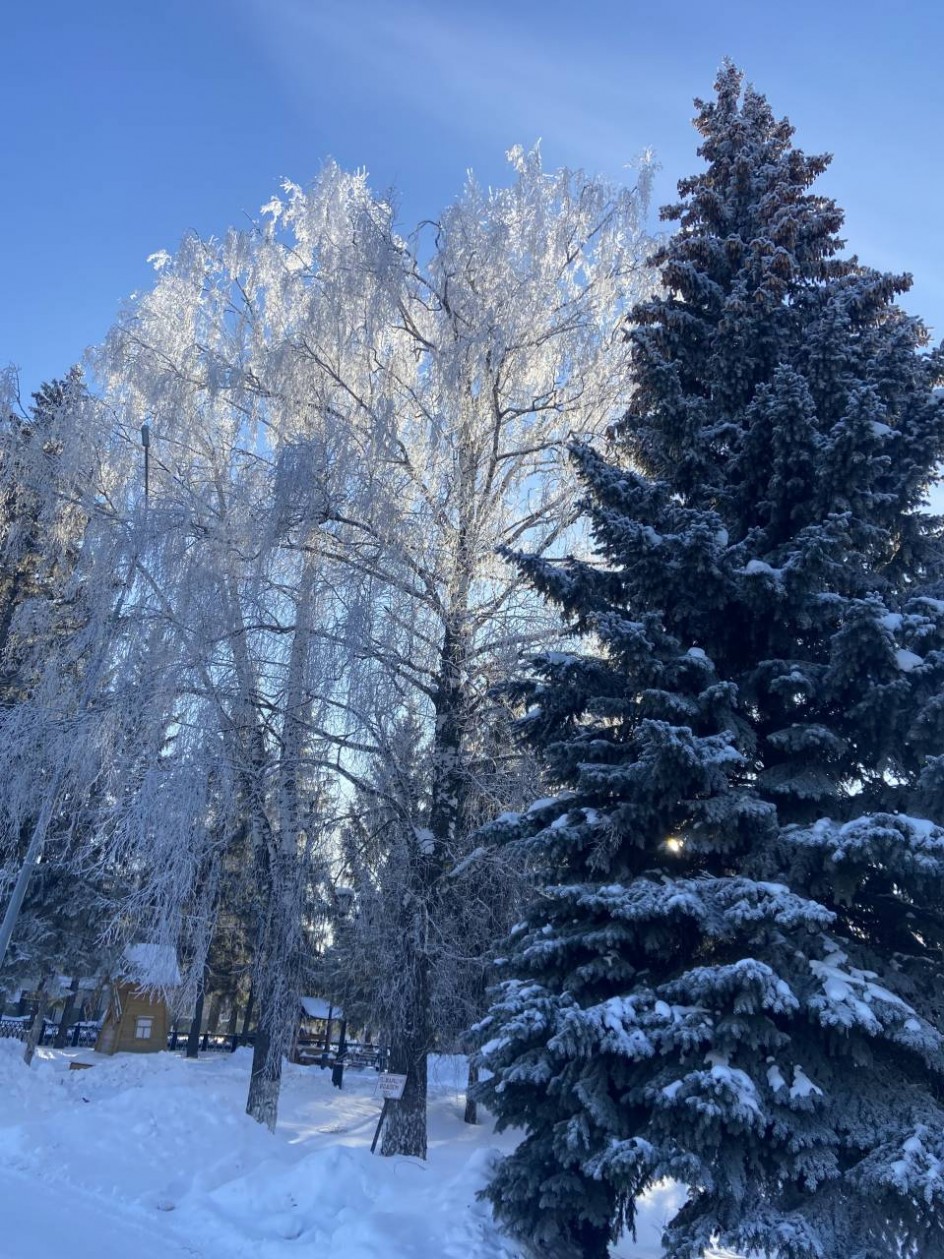 Мороз и солнце