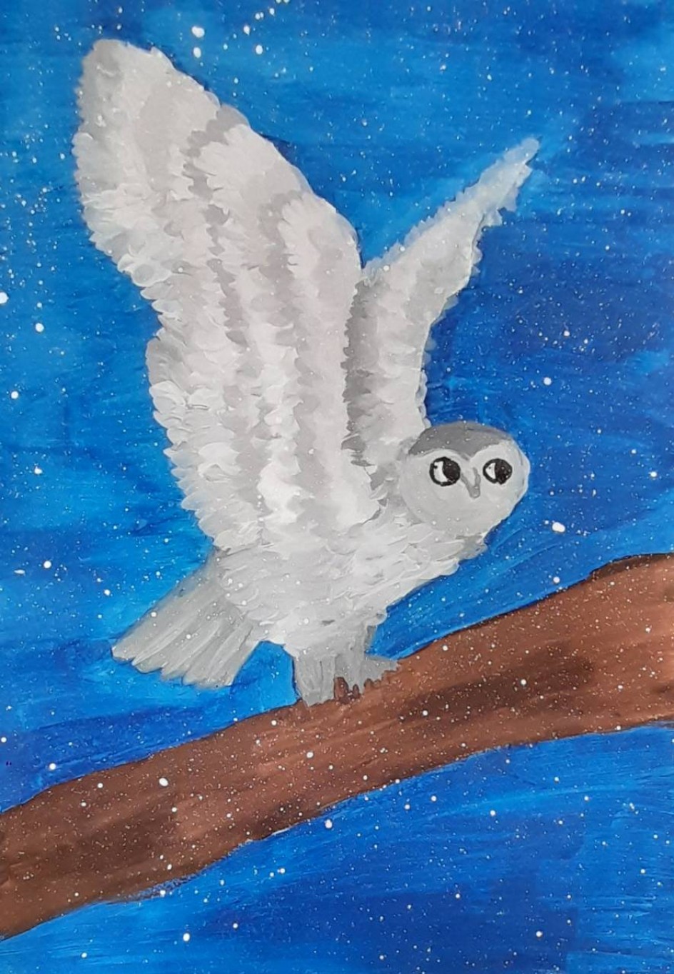 Царица севера - полярная сова