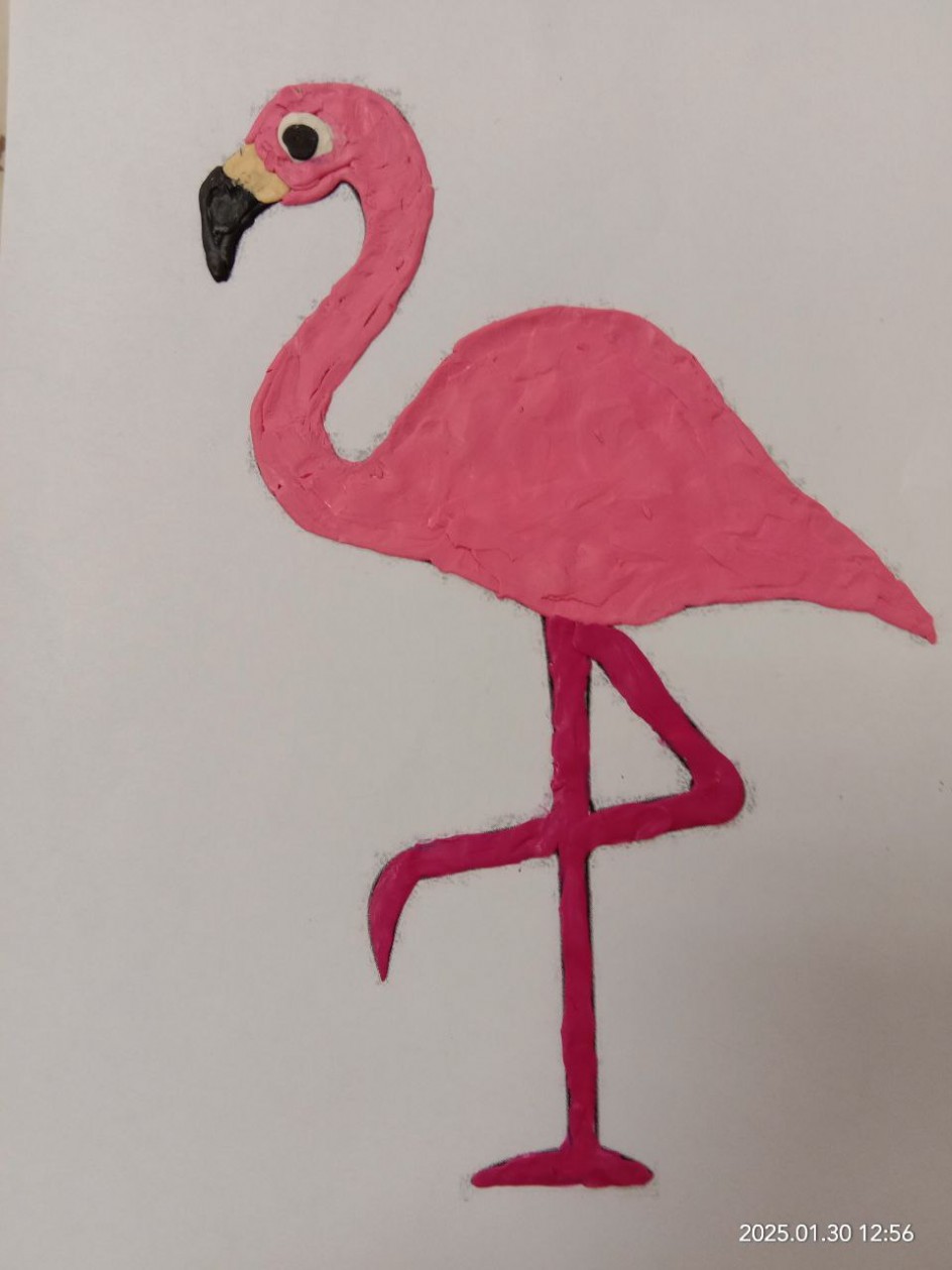 "Мы в зоопарке"