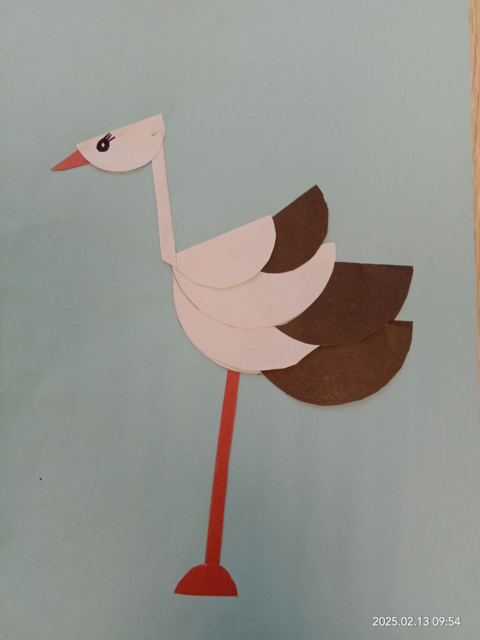 "Мы в зоопарке"