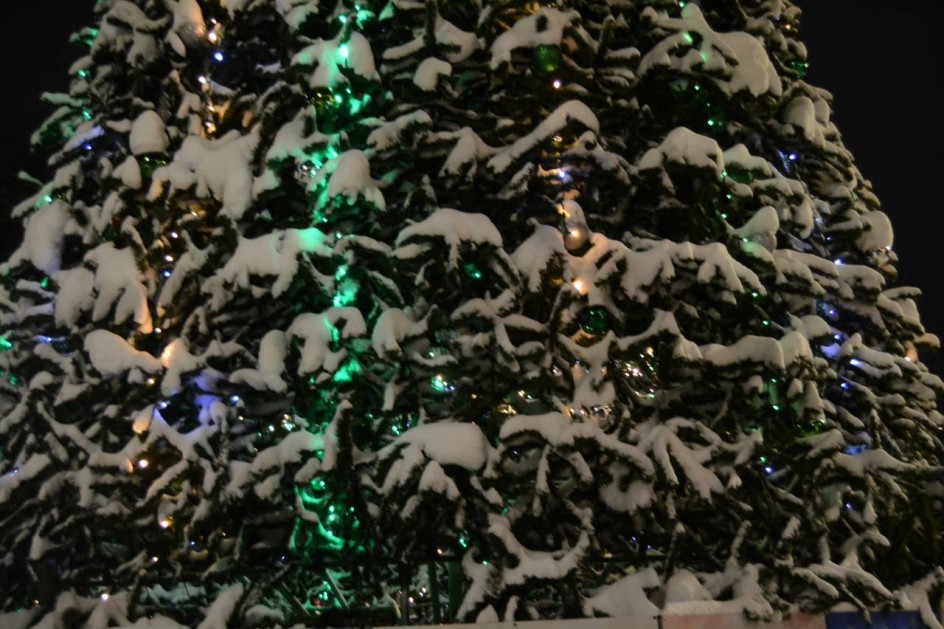 Ёлочка в снегу