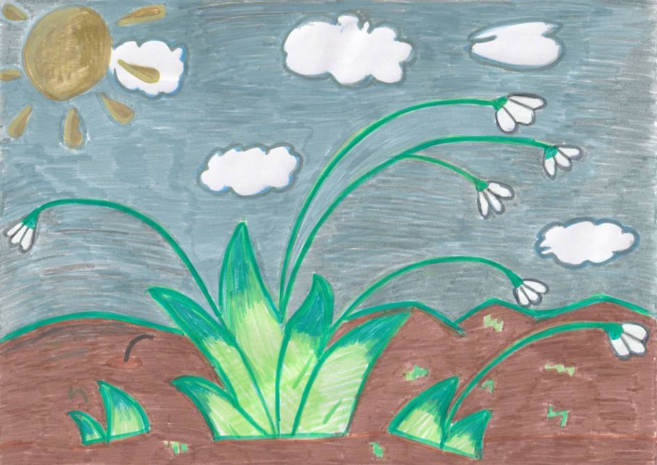 Подснежники