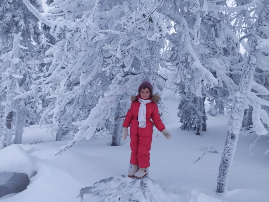 Зимняя сказка