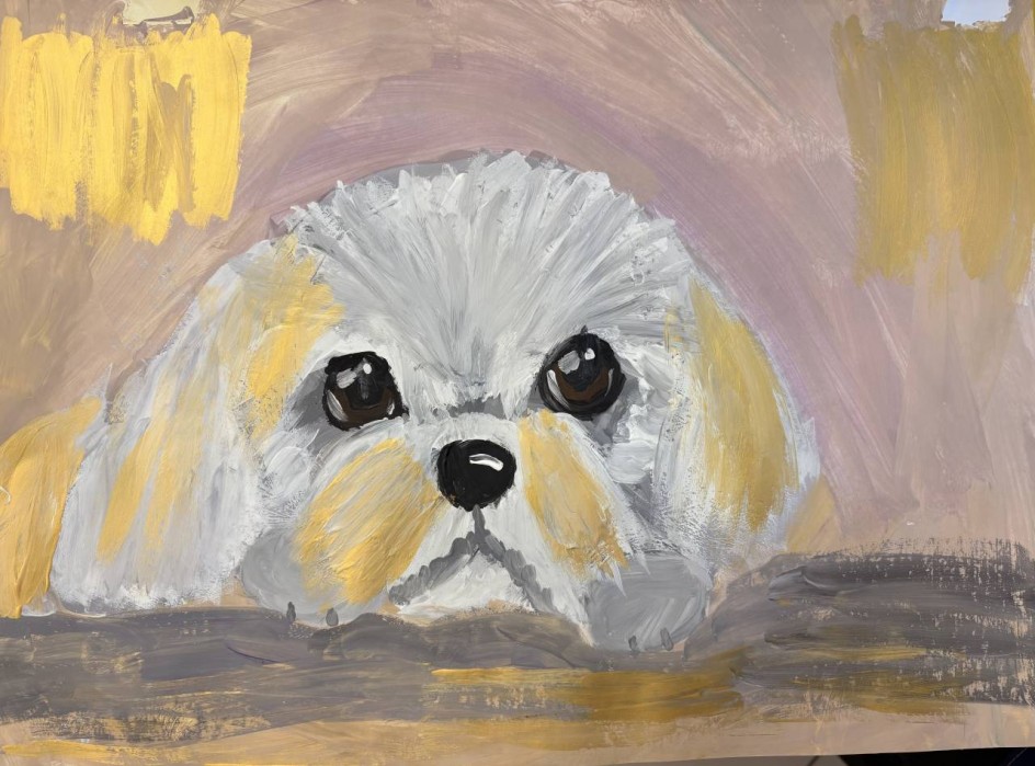 Моя собочка