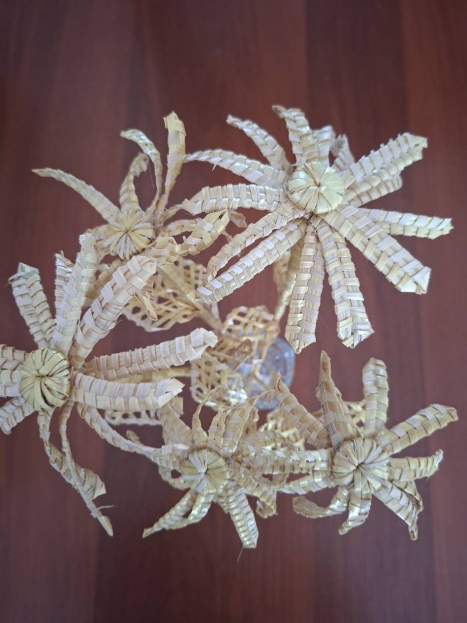 Любимые ромашки