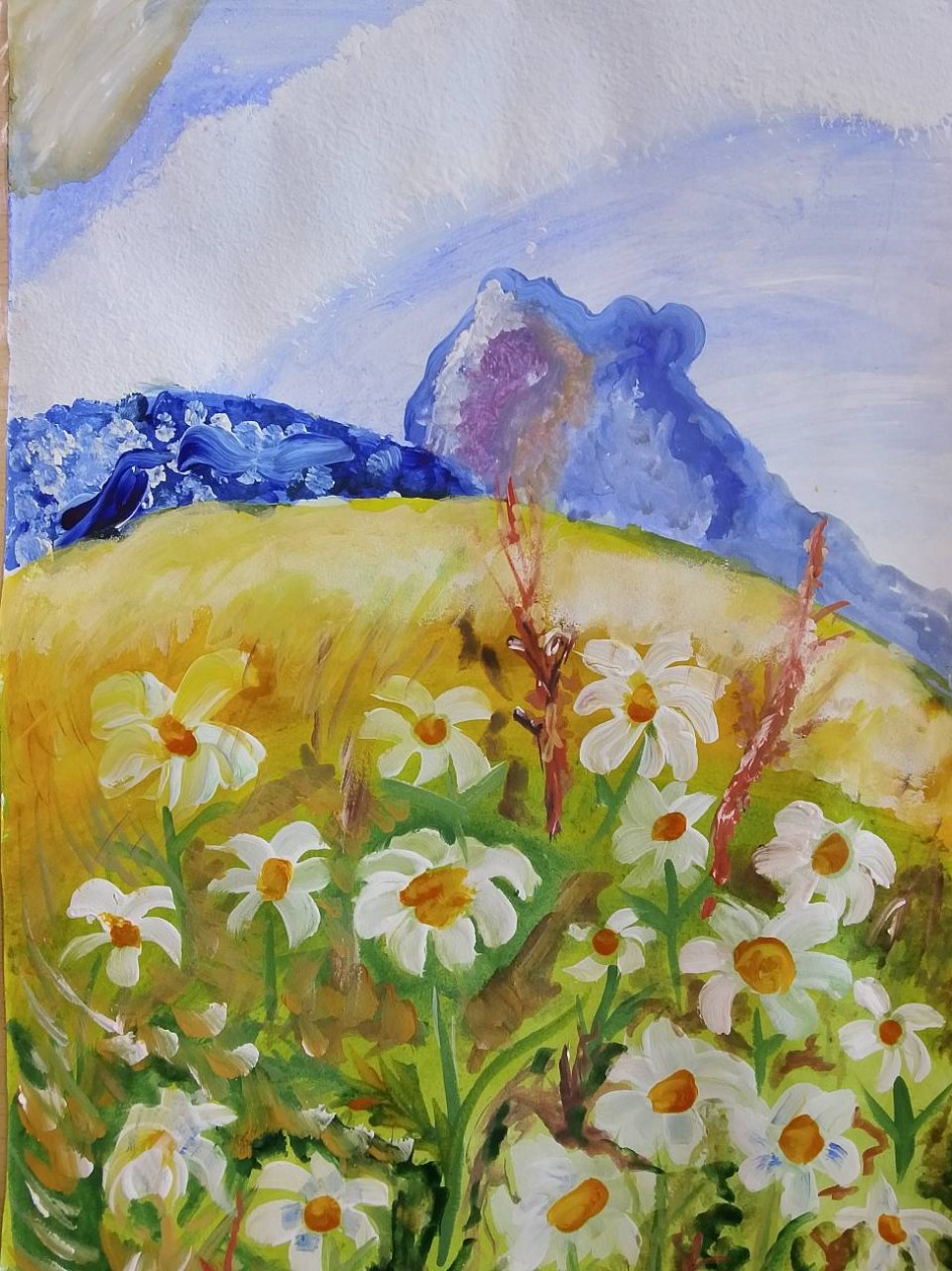 "Ромашковое поле"