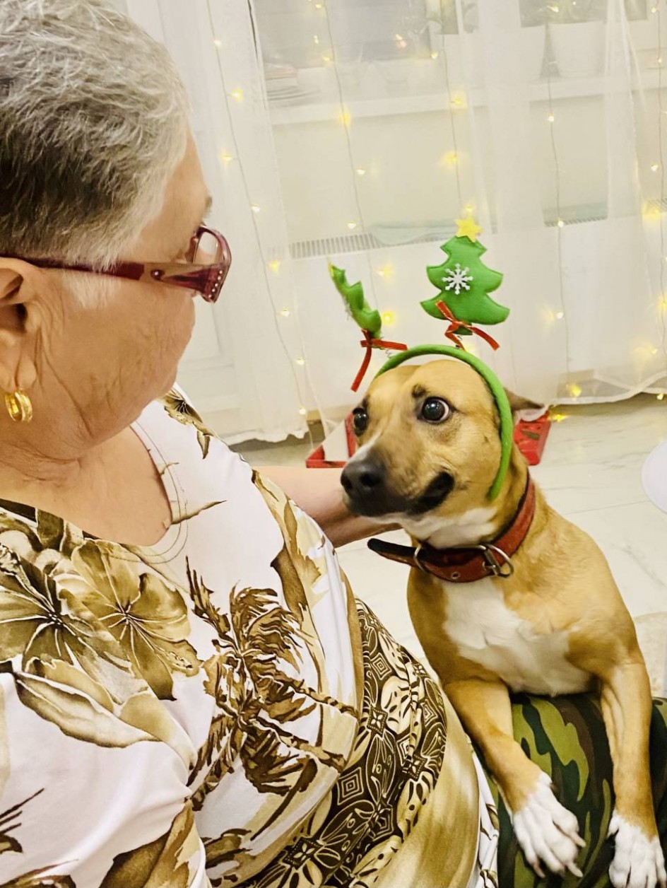 Кто празднику рад?!