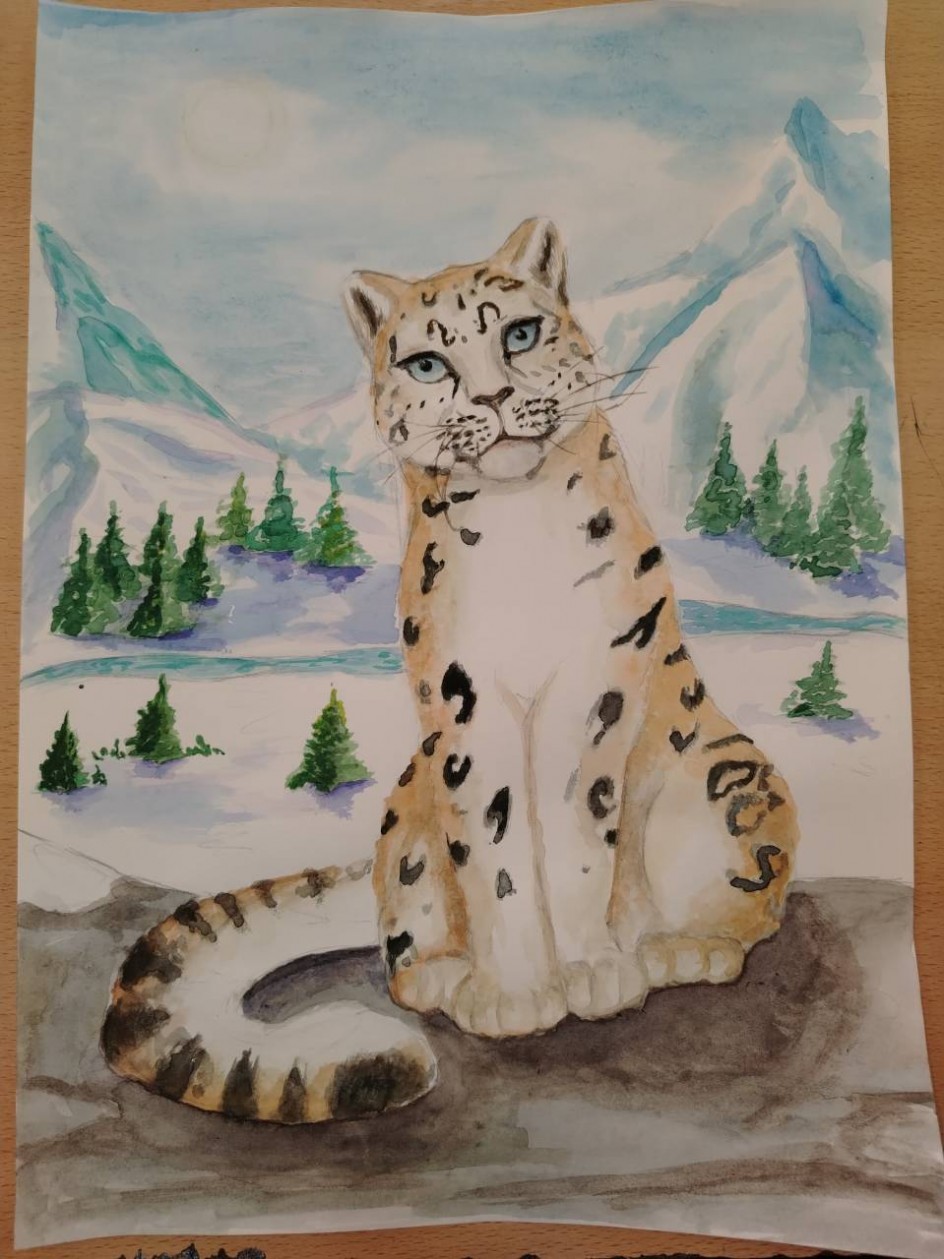 Ирбис в своей среде обитания