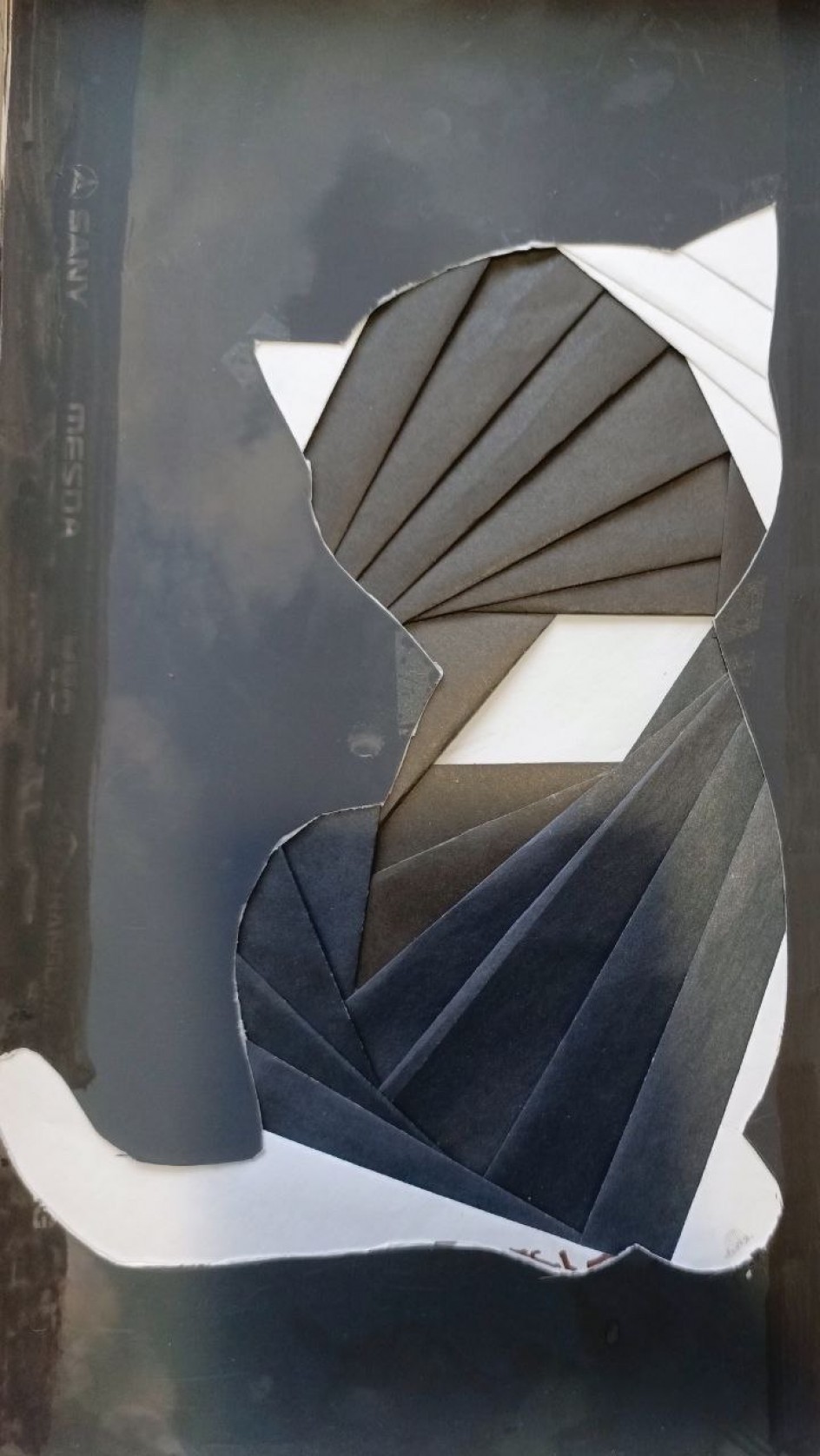 Милый котик