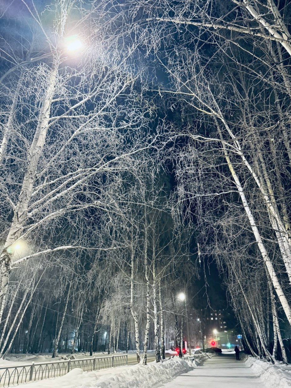 Морозный вечер